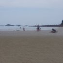 장삼포민박 이미지