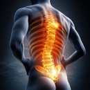 더쉐입PT 이미지