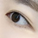 이다지뷰티 | 대전속눈썹펌 탄방동 이다지뷰티 속눈썹펌 후기 (눈매에 어울리는 컬링 대만족)