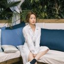 송지은 카카오 검색결과