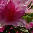 인애유치원 이미지