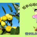 세중농장 이미지