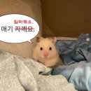 하동중앙중학교 이미지