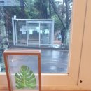 천제연로 이미지