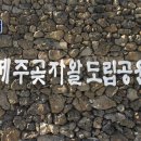 점성공원 이미지