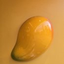 고망고 홍대입구역점 이미지