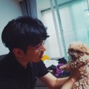 애니온동물병원 이미지