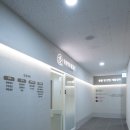 동물병원 여기로 이미지