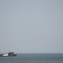 in 섬 story 이미지