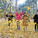 은행나무빌라 이미지