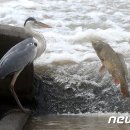 뉴스1대구경북