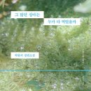 (주)뉴그린산업 이미지