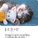 산척중학교 이미지