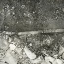 환두대도 이미지