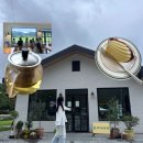 감로 | [울릉도/독도]나리분지 숲크닉: 버스로 나리분지 가는법/ 나리분지의 뷰 예쁜 카페/ 울릉도 감로차 후기