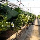 해천농장 이미지