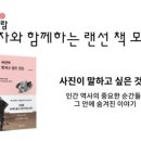 모람통신 네이버블로그