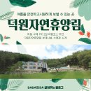 하동구례 코로나 1박여행 안전 숙소 / 덕원자연휴양림 솔직후기