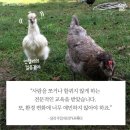 우리집치킨 이미지