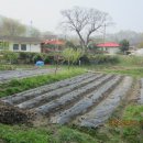 철정농장 이미지