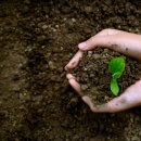 백억환경 이미지