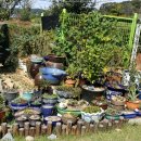 정우농원 이미지