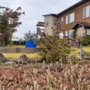 힐링캠프예서원 이미지