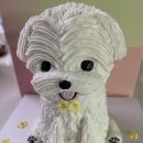 꾸밤꾸밤 이미지