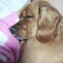 미스터 몽 이미지