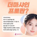 프로샤인 이미지