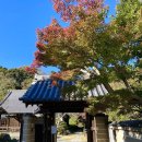 삼계원 | [공지] 가을 일본 여행 도쿄 단풍 시기 근교 명소 가나가와현 스팟 총정리 - 가마쿠라 하코네