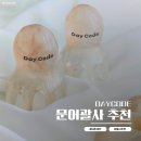 애니컴퓨터 | 문어괄사 추천 내돈내산 후기 문가영과 애니 찐템 3주 사용 후 달라진 점