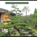 소나무황토집 이미지