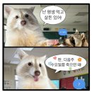 깔롱진 | [내돈내산] 2차 인모드FX 풀페이스 + 슈링크 300샷 후기 : 보여줄게 ~ 완.전.히 달라진 ~ 나