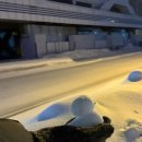 안경이레 | 삿포로 비에이 후라노 버스투어 인디고 트레블 후기 이레 가이드님 쥰페이, 비에이, 크리스마스트리...