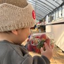 대명2농장 이미지