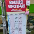 울진대게로 (군도6) | 알고 즐기는 2026년 울진 대게 축제 솔직후기