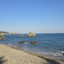 관성솔밭해변 이미지