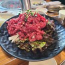 사단법인 한국동물구조관리협회 이미지