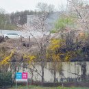 태백자동차검사소 이미지