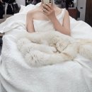 로얄카써비스 | 용산 로얄파크컨벤션 로얄홀 25년 12월 본식 후기(feat. 플래너없이 맘대로 준비한 우당탕탕 결혼식...