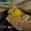 동경밸런스