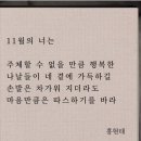 준환농장 | 11월의 나는