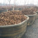 용토농장 이미지