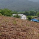 지리산금종영농조합법인 이미지