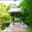 무릉계곡 2호 이미지