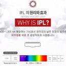 엘케이몰