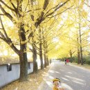 의동마을 이미지