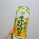 씨유(CU)용당덕진점 | 생라임 맥주 솔직후기