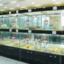 댕댕이 애견샵 이미지